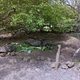 Illustration for article titled You Can Now Explore the Galapagos Islands With Google Street View